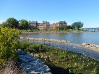 DSCN5873_large.jpg