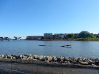 DSCN5968_large.jpg