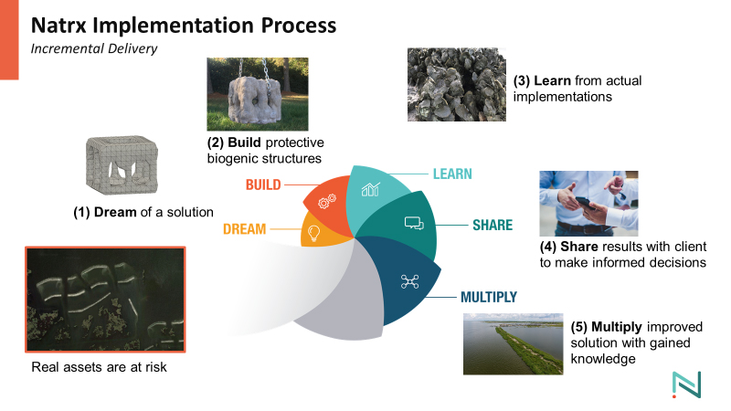 Natrx Implementation Process