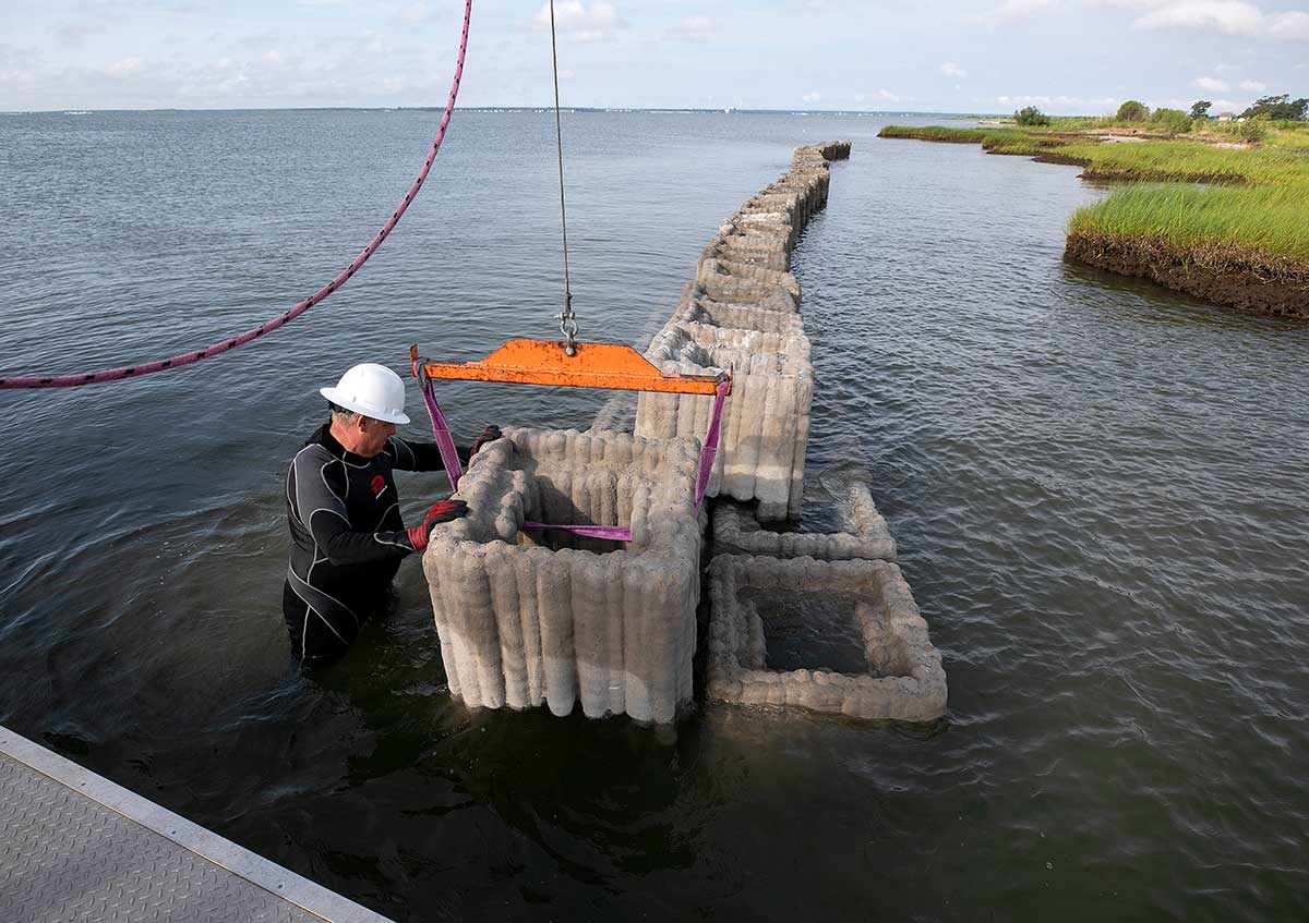 Reefs are being placed along the Guinea marsh to protect the islands from erosion