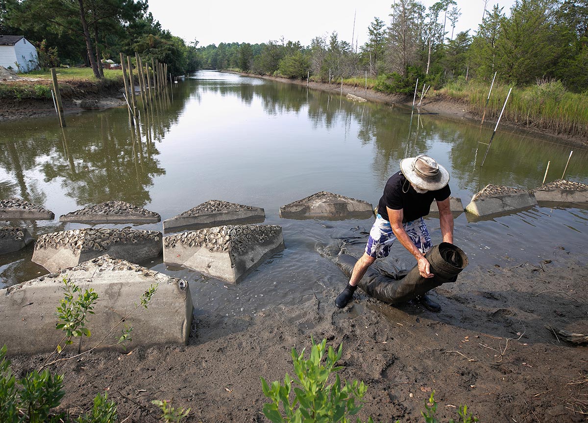 Placing reefs in Whitaker Creek in Gloucester 