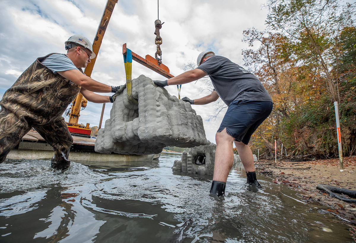 Workers install living shoreline in Virginia.